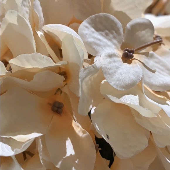 Meet your Posher, Araceli - Picture 1 of 1